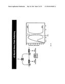 MICRO-RNA FAMILY THAT MODULATES FIBROSIS AND USES THEREOF diagram and image