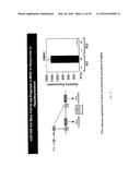 MICRO-RNA FAMILY THAT MODULATES FIBROSIS AND USES THEREOF diagram and image