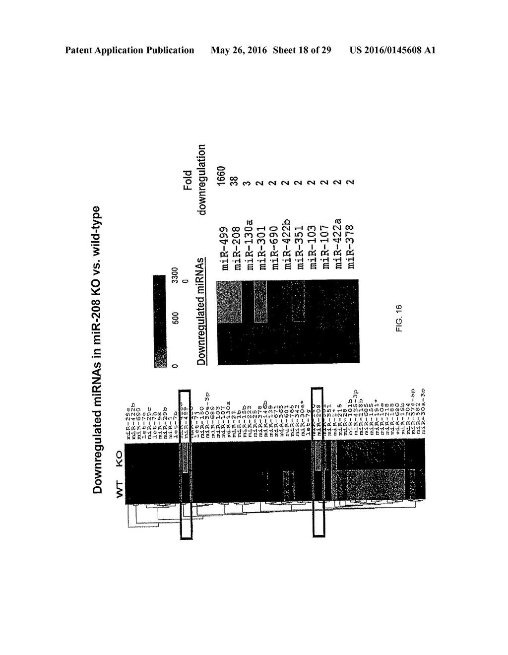 MICRO-RNA FAMILY THAT MODULATES FIBROSIS AND USES THEREOF - diagram, schematic, and image 19