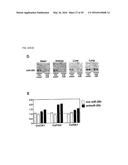 MICRO-RNA FAMILY THAT MODULATES FIBROSIS AND USES THEREOF diagram and image