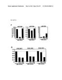 MICRO-RNA FAMILY THAT MODULATES FIBROSIS AND USES THEREOF diagram and image