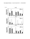 MICRO-RNA FAMILY THAT MODULATES FIBROSIS AND USES THEREOF diagram and image