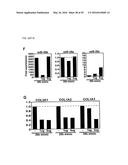 MICRO-RNA FAMILY THAT MODULATES FIBROSIS AND USES THEREOF diagram and image