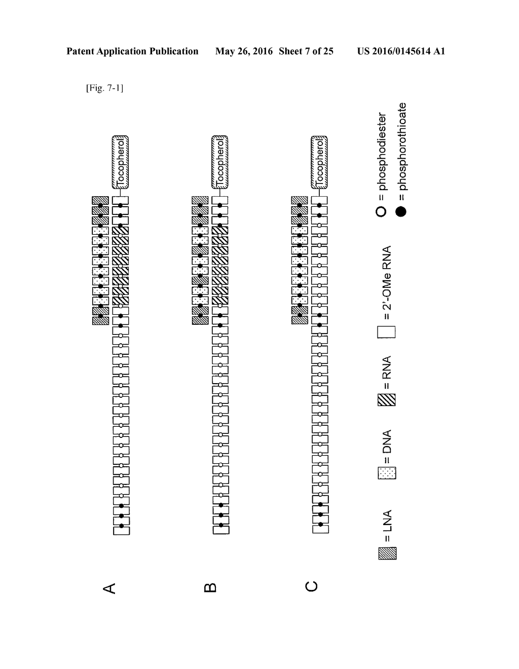 DOUBLE-STRANDED AGENTS FOR DELIVERING THERAPEUTIC OLIGONUCLEOTIDES - diagram, schematic, and image 08