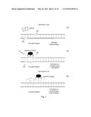 ALBUMIN PRODUCTION AND CELL PROLIFERATION diagram and image