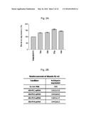 ALBUMIN PRODUCTION AND CELL PROLIFERATION diagram and image