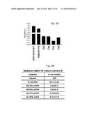 ALBUMIN PRODUCTION AND CELL PROLIFERATION diagram and image