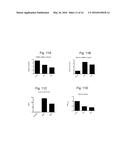 ALBUMIN PRODUCTION AND CELL PROLIFERATION diagram and image