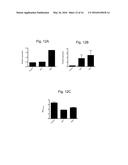 ALBUMIN PRODUCTION AND CELL PROLIFERATION diagram and image