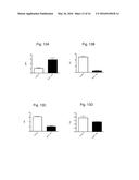 ALBUMIN PRODUCTION AND CELL PROLIFERATION diagram and image