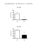 ALBUMIN PRODUCTION AND CELL PROLIFERATION diagram and image