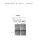 MULTIVALENT APTAMER COMPLEXES diagram and image