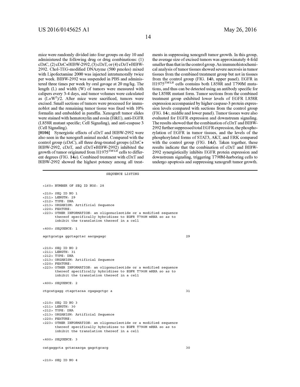 DNAZYME FOR SILENCING THE EXPRESSION OF EGFR - diagram, schematic, and image 50