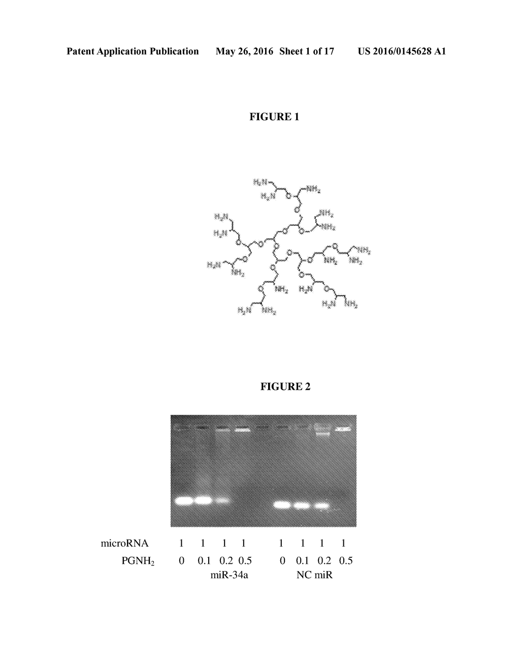 NANOCARRIER SYSTEM FOR MICRORNAS AND USES THEREOF - diagram, schematic, and image 02