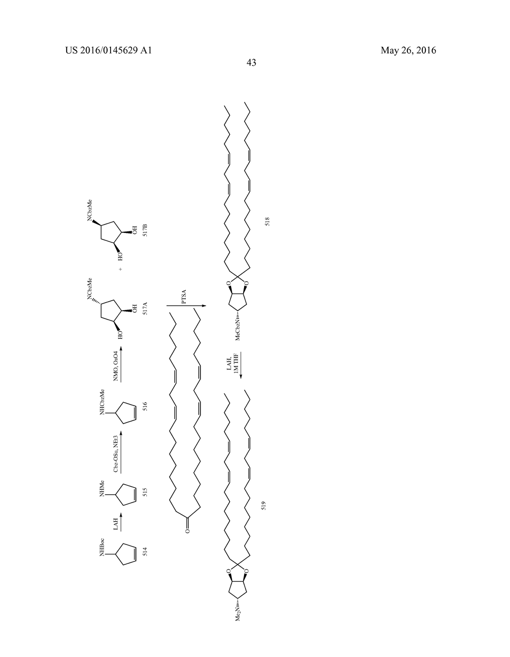 TMPRSS6 iRNA COMPOSITIONS AND METHODS OF USE THEREOF - diagram, schematic, and image 63