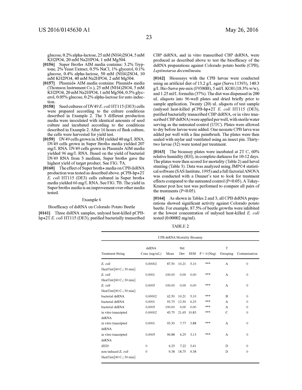 COMPOSITIONS AND METHODS FOR THE IMPROVED PRODUCTION AND DELIVERY OF RNA     BY EFFICIENT TRANSCRIPTION TERMINATION - diagram, schematic, and image 49