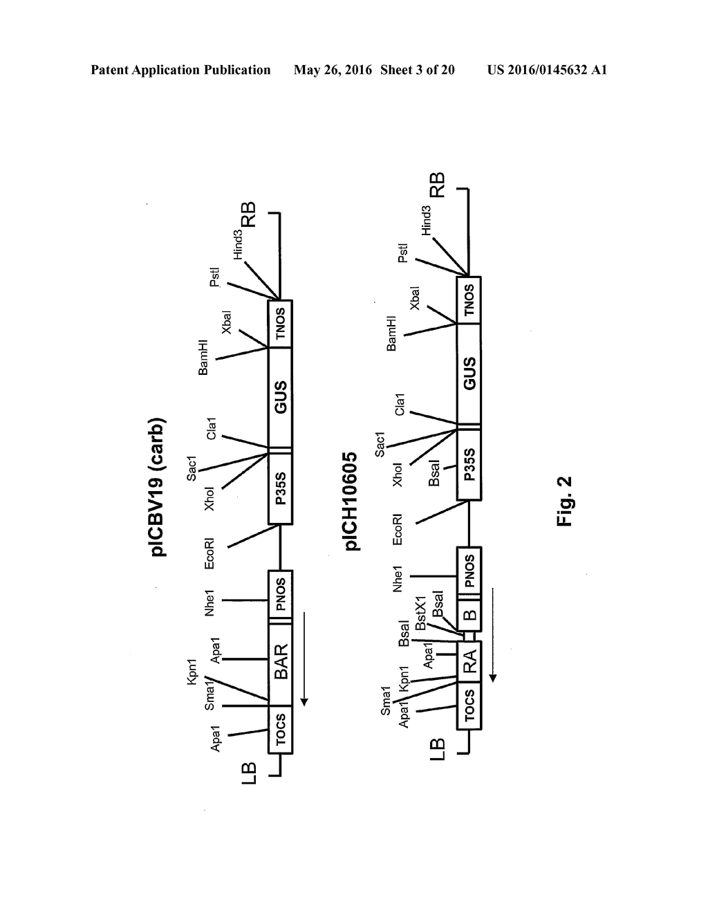 PLANT TRANSFORMATION WITH IN VIVO ASSEMBLY OF A SEQUENCE OF INTEREST - diagram, schematic, and image 04