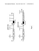 PLANT TRANSFORMATION WITH IN VIVO ASSEMBLY OF A SEQUENCE OF INTEREST diagram and image