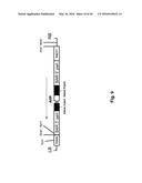 PLANT TRANSFORMATION WITH IN VIVO ASSEMBLY OF A SEQUENCE OF INTEREST diagram and image