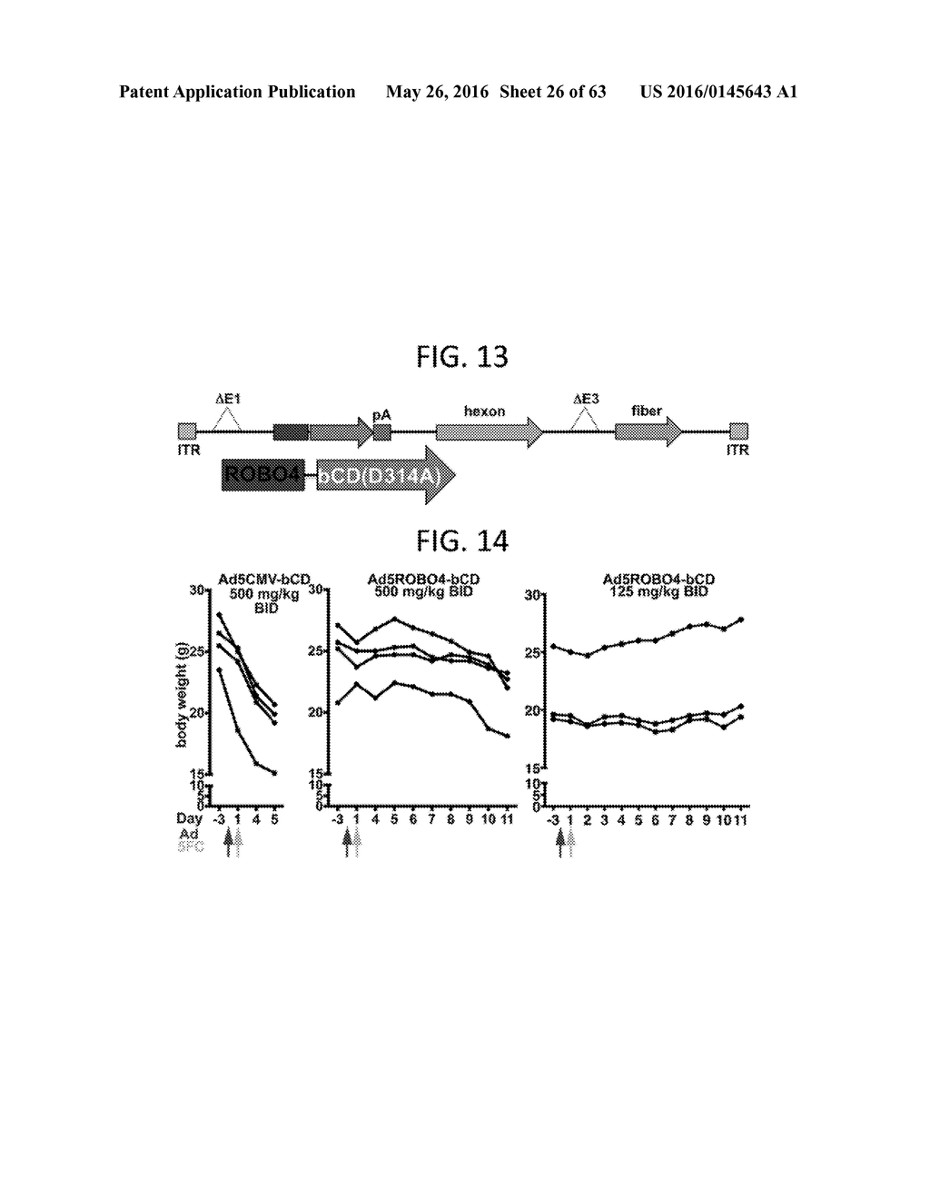 Endothelial-targeted Adenoviral Vectors, Methods and Uses Therefor - diagram, schematic, and image 27