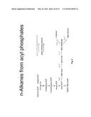 Ethanol Production in Microorganisms diagram and image