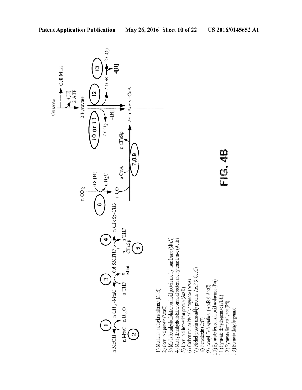 METHODS FOR INCREASING PRODUCT YIELDS - diagram, schematic, and image 11