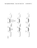 Methods and Materials for Producing 7-Carbon Chemicals via a C9 Route diagram and image