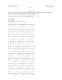 Microorganism of the Genus Corynebacterium with Enhanced ability to     produce L-Arginine and Method for Producing L-Arginine Using the Same (AS     AMENDED) diagram and image