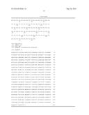 Microorganism of the Genus Corynebacterium with Enhanced ability to     produce L-Arginine and Method for Producing L-Arginine Using the Same (AS     AMENDED) diagram and image