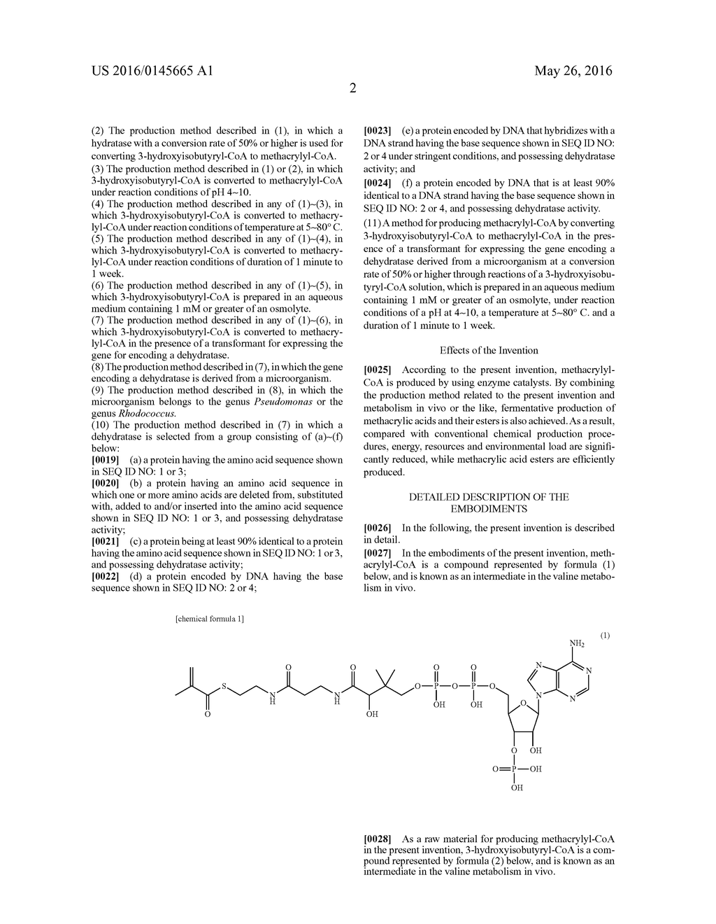 METHOD FOR PRODUCING METHACRYLYL-COA - diagram, schematic, and image 03