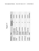 Poly(UG) Polymerase, Constructs, and Methods of Making and Using the Same diagram and image