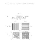 SPATIALLY ENCODED BIOLOGICAL ASSAYS USING A MICROFLUIDIC DEVICE diagram and image