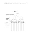 SPATIALLY ENCODED BIOLOGICAL ASSAYS USING A MICROFLUIDIC DEVICE diagram and image