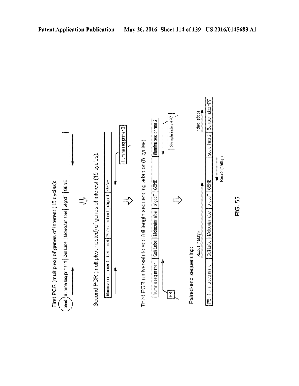 MASSIVELY PARALLEL SINGLE CELL ANALYSIS - diagram, schematic, and image 115