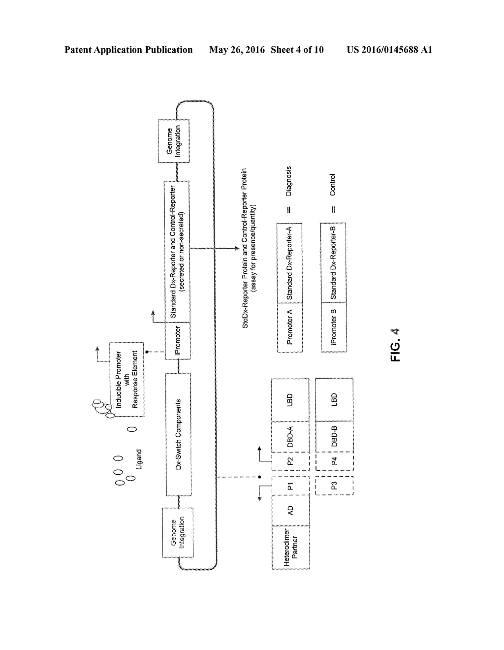 Methods and Compositions for Diagnosing Disease - diagram, schematic, and image 05