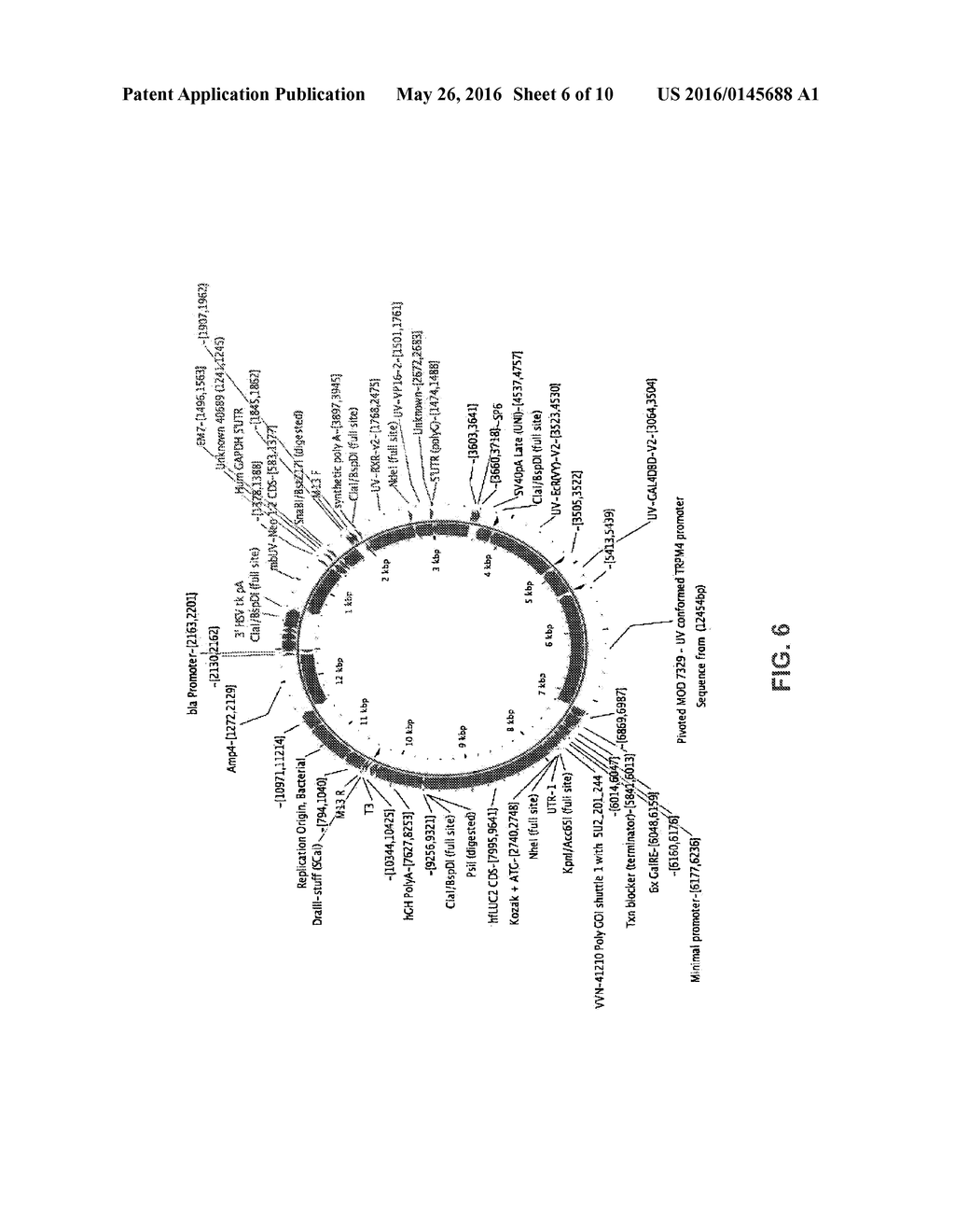 Methods and Compositions for Diagnosing Disease - diagram, schematic, and image 07