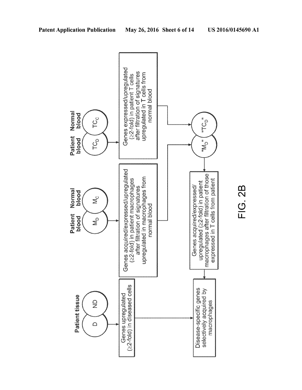 Methods of Detecting Prenatal or Pregnancy-Related Diseases or Conditions - diagram, schematic, and image 07