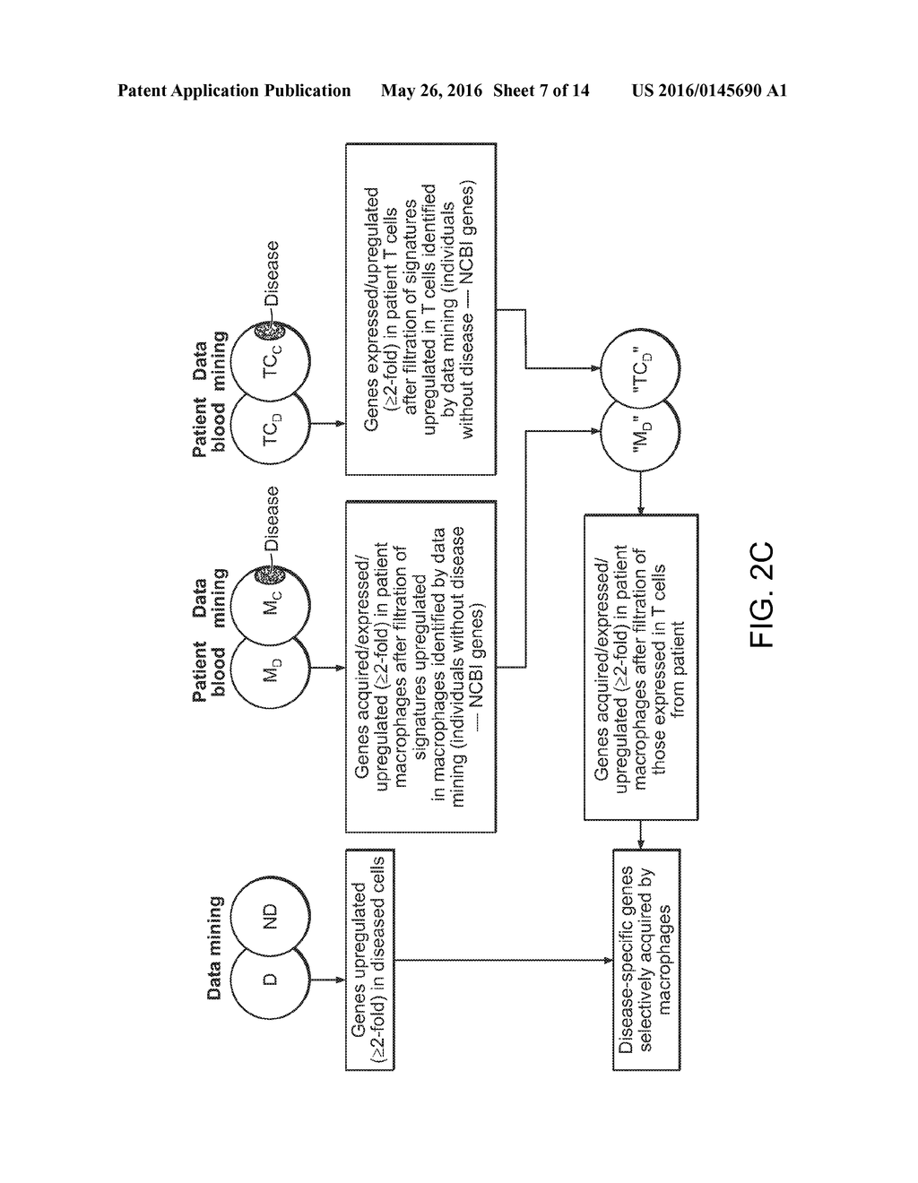 Methods of Detecting Prenatal or Pregnancy-Related Diseases or Conditions - diagram, schematic, and image 08