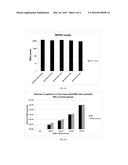 PRIMERS AND PROBES FOR DETECTION AND DISCRIMINATION OF EBOLA VIRUS diagram and image