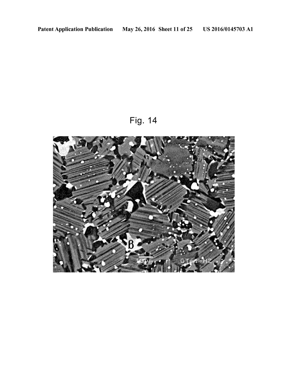 HOT-FORGED TiAl-BASED ALLOY AND METHOD FOR PRODUCING THE SAME - diagram, schematic, and image 12