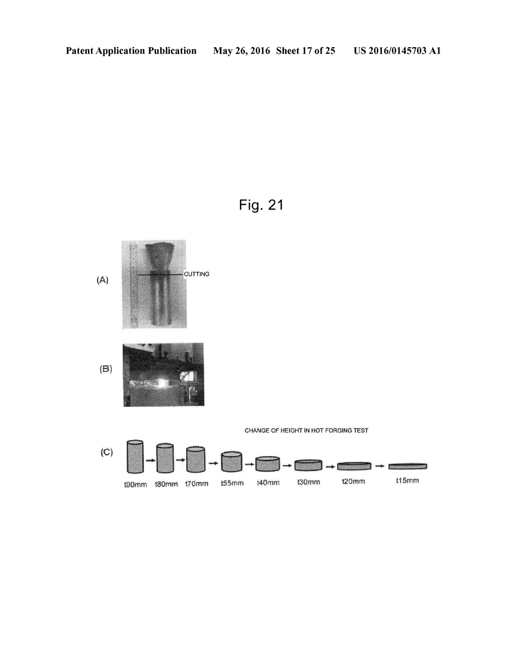 HOT-FORGED TiAl-BASED ALLOY AND METHOD FOR PRODUCING THE SAME - diagram, schematic, and image 18