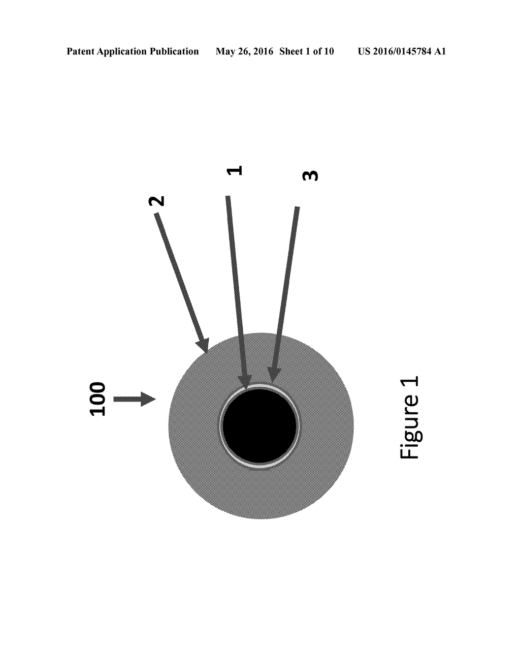 HIERARCHICALLY STRUCTURED CARBON NANOTUBE ARTICLES AND METHODS FOR     PRODUCTION THEREOF - diagram, schematic, and image 02