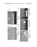 BIOPOLYMER SEPARATION USING NANOSTRUCTURED ARRAYS diagram and image