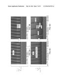 BIOPOLYMER SEPARATION USING NANOSTRUCTURED ARRAYS diagram and image