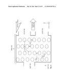 BIOPOLYMER SEPARATION USING NANOSTRUCTURED ARRAYS diagram and image