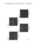 BIOPOLYMER SEPARATION USING NANOSTRUCTURED ARRAYS diagram and image