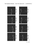 BIOPOLYMER SEPARATION USING NANOSTRUCTURED ARRAYS diagram and image