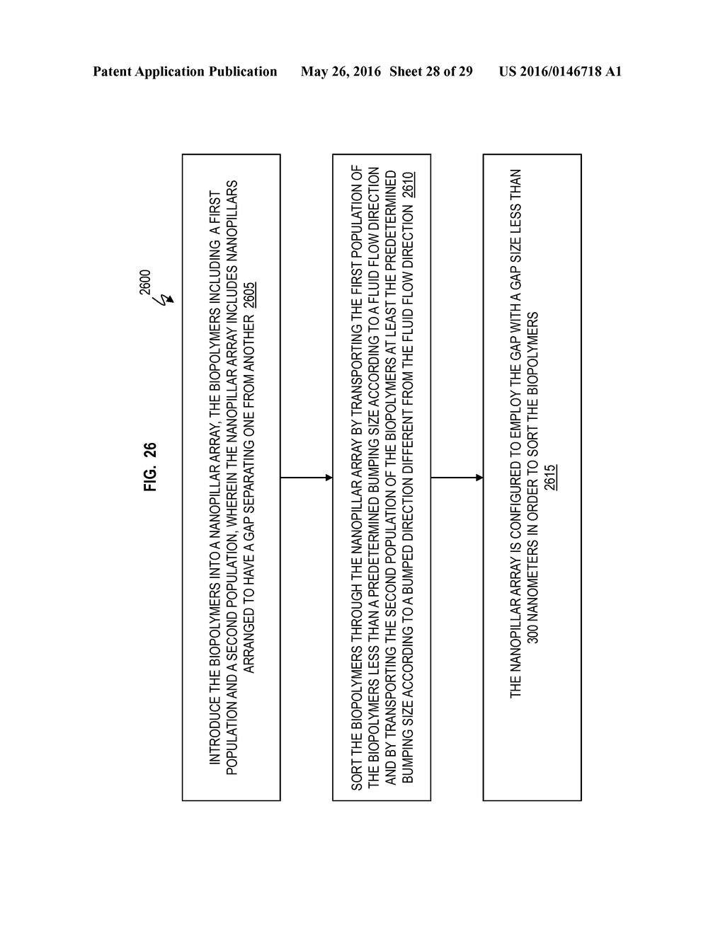 BIOPOLYMER SEPARATION USING NANOSTRUCTURED ARRAYS - diagram, schematic, and image 29