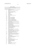 Apparatus and a method for spectroscopic ellipsometry, in particular     infrared spectroscopic ellipsometry diagram and image