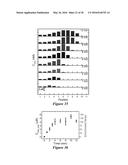 DEVICES, SYSTEMS, AND METHODS FOR ELECTROPHORESIS diagram and image